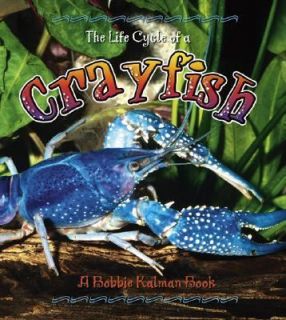   Crayfish by Rebecca Sjonger and Bobbie Kalman 2006, Hardcover
