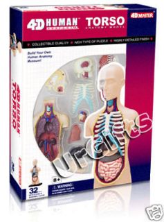 4D Puzzle Human Anatomy Model Transparent Body Skeleton Torso NEW