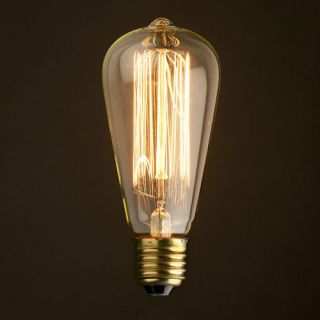   reproduction Edison light bulb   squirrel cage lamp, industrial light