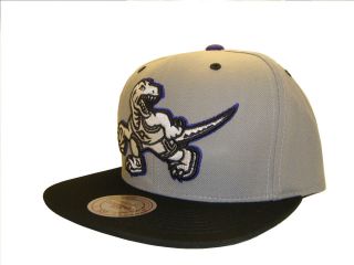 Toronto Raptors Snap Back Snapback Baseball Cap Hat Caps Hats Mitchell 
