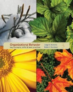 Organizational Behavior Key Concepts, Skills and Best Practices by 