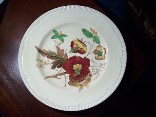 clarice cliff plate in Royal Staffordshire/Wilkinson