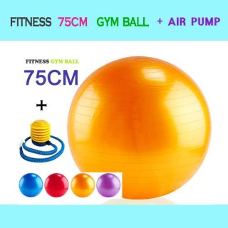 fitness sports gym body pilates exercise ball 75cm from korea south 