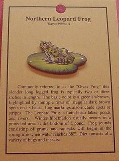 northern leopard frog hat pin lapel pins 