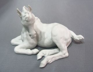 New Original Kaiser Porcelain Foal Horse Figurine