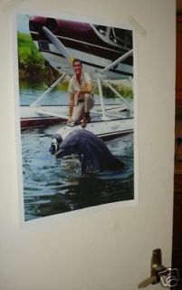 flipper the dolphin great colour poster new 