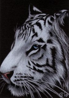   16 Bengal big cat kitten painting Sandrine Curtiss Art ACEO PRINT