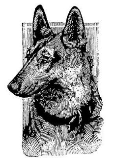   Shepherd Dog Engraving // unmounted rubber stamp (3 x 4) FLONZ UM