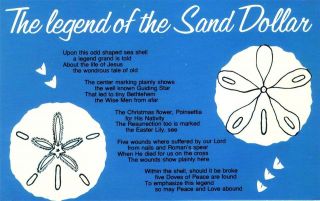 The Legend Of The Sand Dollar Vintage Unused Souvenir Postcard