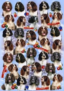 english springer christmas wrapping paper by starprint 