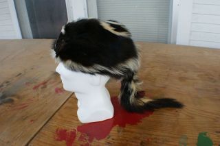 skunk hat in Clothing, Shoes & Accessories