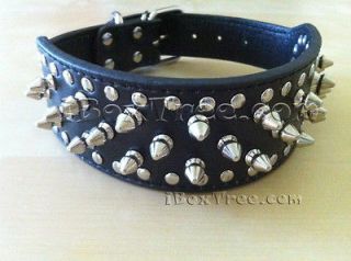 dog collar spiked studs in black freeshipping 