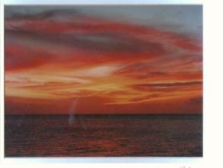 Maui Dreams Blazing Swirls   Maui Sunset Art Double Matted Susan 