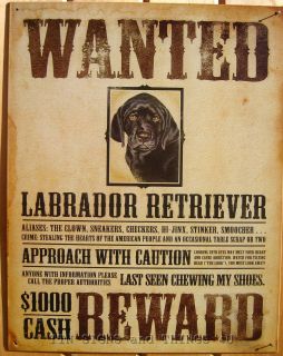 Wanted Poster Black Lab TIN SIGN labrador retriever funny metal wall 