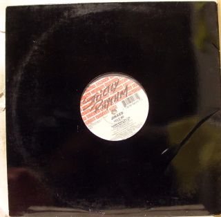 Jinxed Hold Me 12 Mint SR 12483 US Acid House 1996 Record