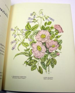 Canadian Wild Flowers by Agnes Fitzgibbon Facsimile Ed