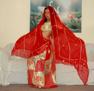 Stunning Indian Hindu Arabian Godess Bollywood belly dance Halloween 