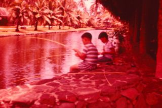 1950s Coco Palms Resort Lagoon Hawaiian Boys Fishing Kauai Color Slide 