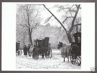 Alfred Stieglitz Hansom Cabs Central Park Postcard