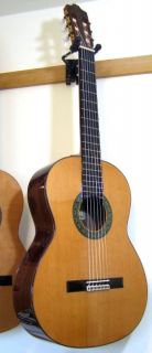 neck w ebony strip wood inlay rosette rosewood binding lacquer finish 