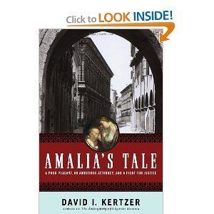 Amalias Tale An Impoverished Peasant Woman An Ambitious Attorney and 