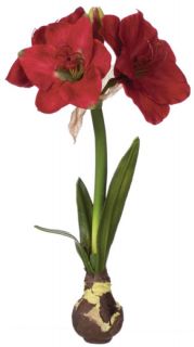 This set of 4 artificial amaryllis bulbs make a beautiful addition to 