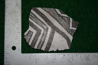 Anasazi Mogollon Pottery Tularosa Black on White Sherd WS1005