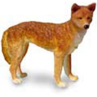 Dingo   Science & Nature Australia: vinyl miniature toy animal