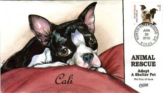 Collins Hand Painted 4459 Animal Rescue Boston Terrier