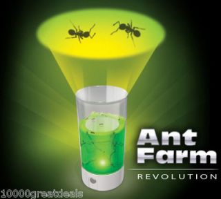 Ant Farm Revolution Insect Bug Art 360° Gel Habitat by Uncle Milton 