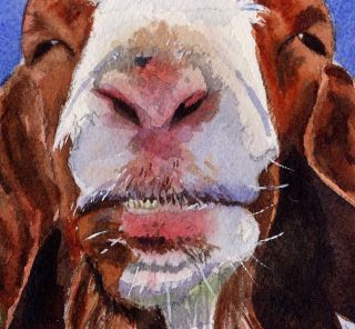 Print Animal Watercolor Art Painting Billy Goat Grin