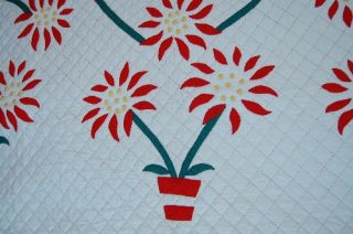XL 30s Poinsettia Red & Green Applique Antique Quilt