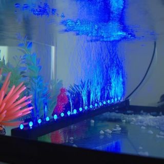 610mm 2ft Carminative Aquarium Fish Tank Air Pump Blue 24 LED Bubble 