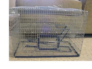 10 Gallon 2 Story Aquarium Cage Topper hamster gerbil degu rat BEST 