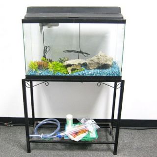 29 Gallon High Aquarium with Pump Stand and More