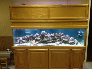 125 Gallon Saltwater Aquarium with Oak Stand and Canopy