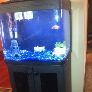 Oceanic 29 Gallon BioCube Aquarium with Stand Saltwater Or Freshwater