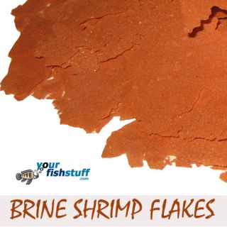 Your Fish Brine Shrimp Flakes Aquarium Fish Food 1 2 Lb
