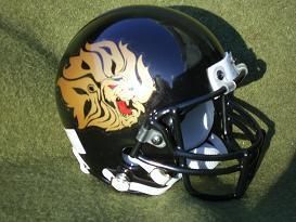 UAPB Arkansas Pine Bluff Golden Lions Football Mini Helmet 3 Styles 