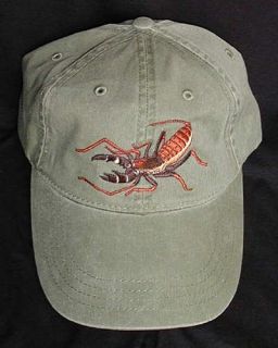 Vinegaroon Hat New Embroidered Cotton Cap Whipscorpion