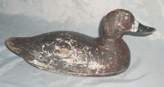 Old Duck Decoy 1000 Islands St Lawrence River NY