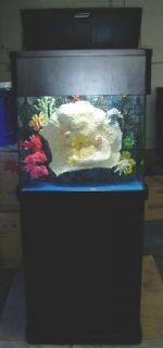 36 Gallon Reef Ready Aquarium Combo with Wood Stand