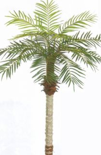 Artificial 5 Phoenix Palm Tree Plant Silk Bush Pool Patio Deck 