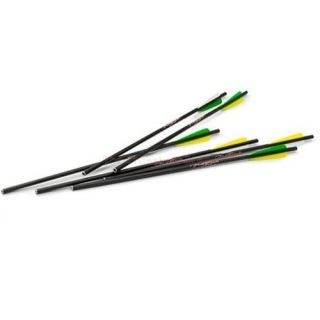 Excalibur 20 inch Firebolt Carbon Arrows 6 Pack for Magtip Molded Limb 