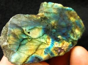 25 Polished Multi Color Labradorite Spectrolite Rough Specimen 