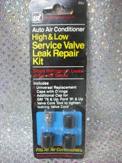 Interdynamics Auto Air Conditioner Service Valve Kit