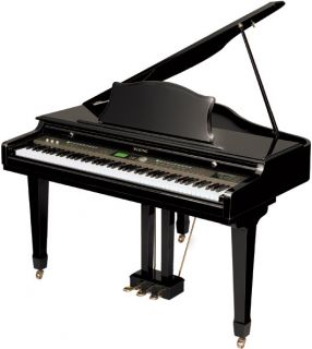 Baldwin Wurlitzer Baby Grand Piano Wonderful Sound and Free Yamaha 
