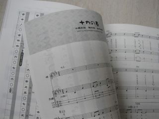 Sanshin Shamisen Samisen Okinawa Sing Along Music Book