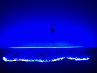 Aquarium Reef Coral LED Strip 445 nm BLUE Actinic Light 36 3 ft 60 