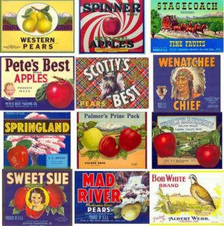 8000 Pics CD 1920 1960s Vintage Poster Sign Ad Labels